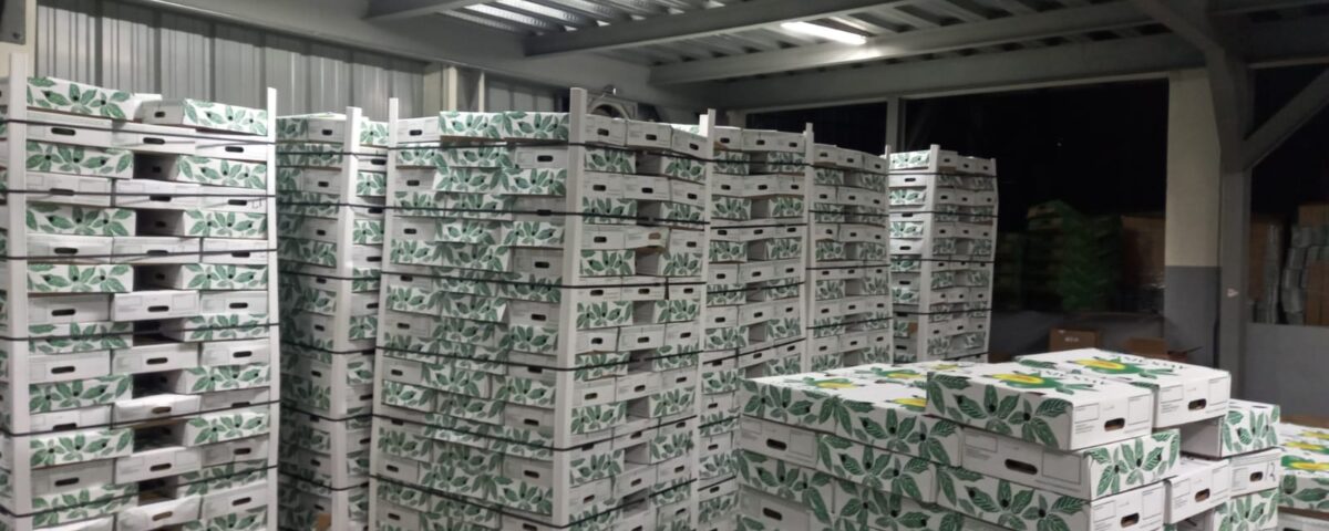 produce at a warehouse facility