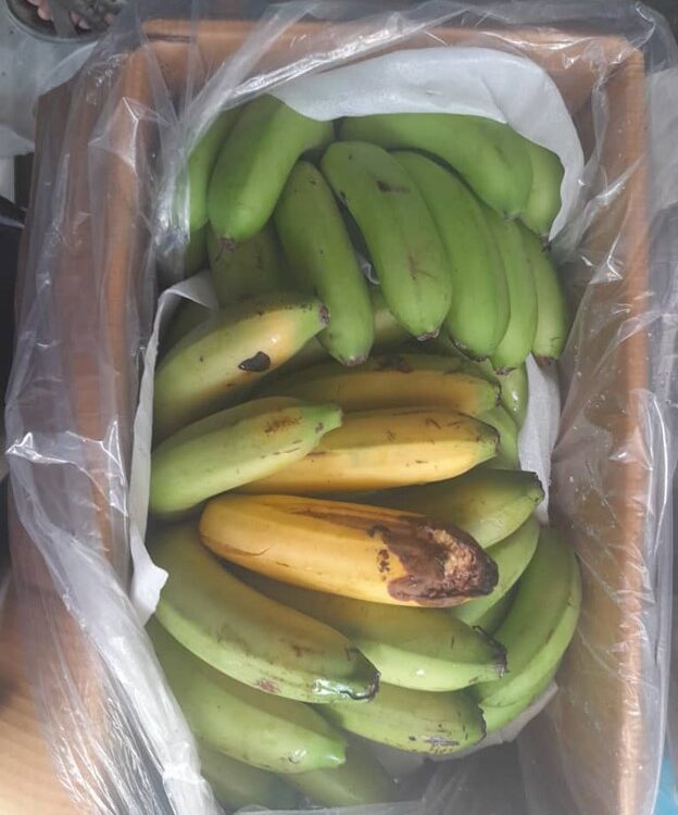 damaged banana cargo for cargo claims recovery