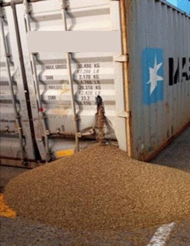 damaged cargo on transshipment