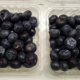 fruit export, blueberries