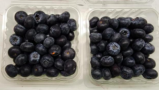 fruit export, blueberries