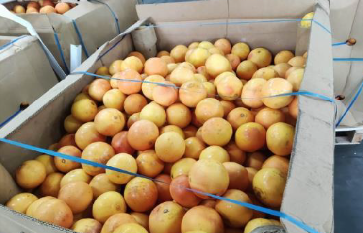 cargo damage, cargo claims, marine cargo claims, gri, general rate increase, grapefruit, damaged grapefruit, spoiled grapefruit, fresh produce