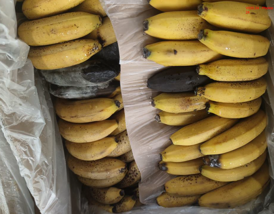 spoiled banana, cargo damage, banana cargo, cargo damage due to delay