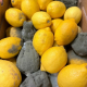 spoiled lemon, lemon cargo, lemon cargo, cargo claim, damaged cargo,