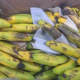 banana cargo, banana cargo damage, cargo claims recovery, cargo claim success