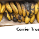 Carrier Trust Index 2025